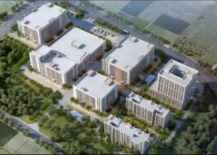 Qingdao Meilianjia International Trade Co., Ltd fabriek productielijn