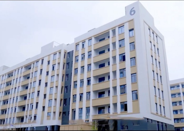 Qingdao Meilianjia International Trade Co., Ltd fabriek productielijn