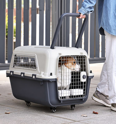 Luchtvaartmaatschappij goedgekeurde transportkooi voor huisdieren Outdoor Carrier Box voor duurzaam reizen