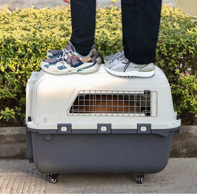 Luchtvaartmaatschappij goedgekeurde transportkooi voor huisdieren Outdoor Carrier Box voor duurzaam reizen