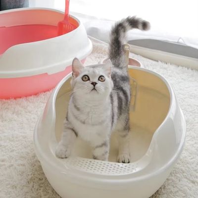 Hoge zijkant PP plastic kattenwc grote anti-spatten open bovenste kattenbak voor binnenshuis