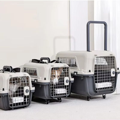 Huisdier luchttransportdoos voor kleine honden en katten Duurzaam hardoppervlak reisdrager