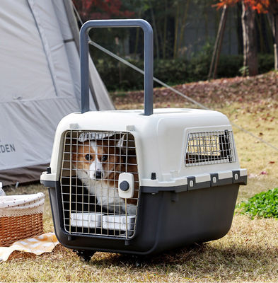 Huisdier luchttransportdoos voor kleine honden en katten Duurzaam hardoppervlak reisdrager