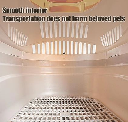 PP reistas voor huisdieren Kattendrager Hardoppervlak Air Transport Box voor kleine honden en katten