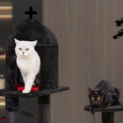 Meerdere niveaus Kattenactiviteiten Meubelen Luxe Siasl Kattenboom met Spinnekop