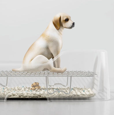 ODM Designs Top Sale Afzonderlijk Ontwerp Plastic Urinal Pee Indoor Pet Dog Toilet Training Potty Tray Met Drawer