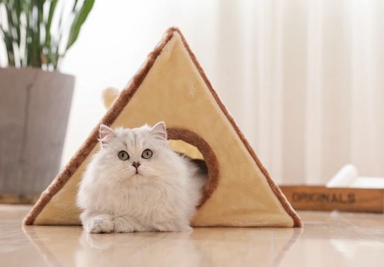 Kattenmeubilair Huis voor huisdieren Plush driehoekige vorm Kattenbedden Kattennest Warm zacht opvouwbaar hond