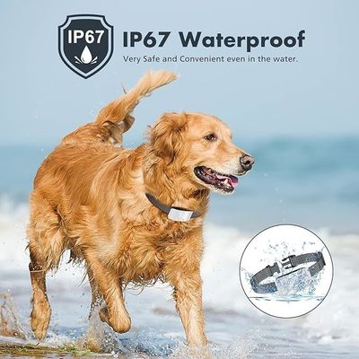 7 Aanpasbare gevoeligheid Oplaadbare schorsbeheerketting Waterdicht en programmeerbaar