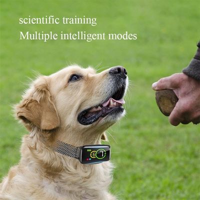 Kleine grote en middelgrote honden blafkraag met afstandsopleidingsmodus 4 werkwijzen