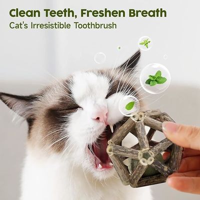 Silvervine katten speelgoed voor zelf spelen en tanden reinigen gemaakt van natuurlijke Polygonum Arboreum