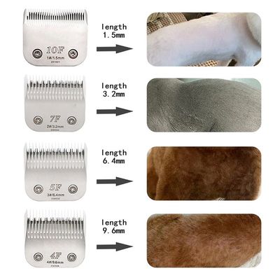 Moderne stijl huisdier haar knipper Trimmer Batterij-aangedreven grooming gereedschap voor grote huisdieren