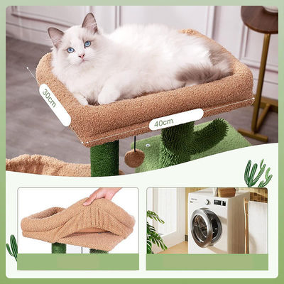Duurzame Cactus Cat Tree 30 inch hoge Multi-Level Cat Tower voor Plezier Speel en Cat Condo