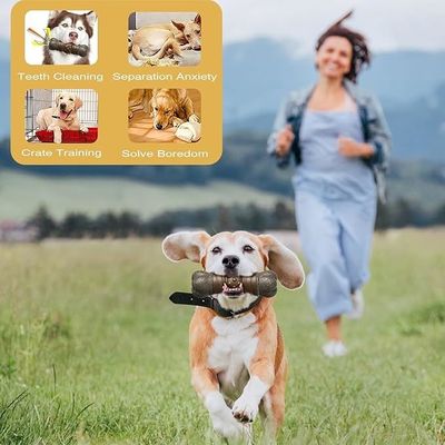 Duurzaam Modieuze stijl Hond piepen speelgoed stok bot voor tanden reiniging kauw speelgoed