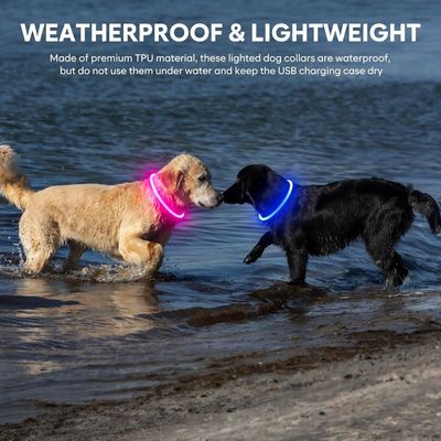 LED gloeiende hondenkraag met aangepast logo USB oplaadbaar waterdicht 3 flitsende modi