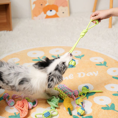 Speelgoed voor honden 7pcs set gevlochten touw speelgoed voor tandreiniging en interactief plezier