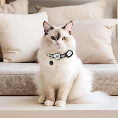 Gepersonaliseerde huisdier accessoires Functie Custom Print Nylon Smart QR Code Huisdier Tag Collar