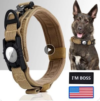 Nylon honden trainer kraag voor hardlopen wandelen wandelen Airtag Tracker beschermhoes nu