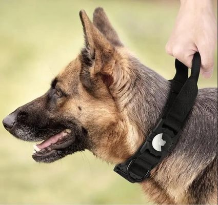 Nylon honden trainer kraag voor hardlopen wandelen wandelen Airtag Tracker beschermhoes nu