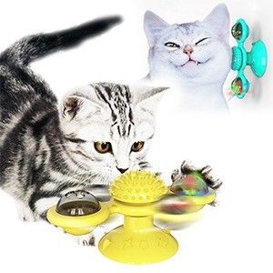 Vermaak uw katten met een veilig en milieuvriendelijk vloerzuigbekertje