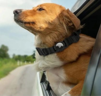 Hondenhalsband Eco-vriendelijk Nylon verstelbare huisdierhalsband met Air Tag GPS tracker honden leidt