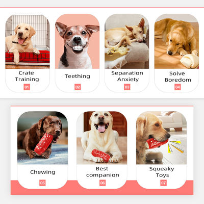 Squeaky Pet Dog Chew Toys Stoer en duurzaam voor agressieve kauwers Mode stijl