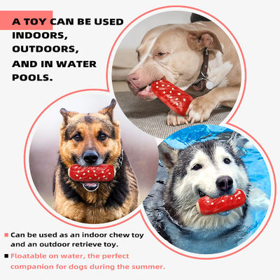 Squeaky Pet Dog Chew Toys Stoer en duurzaam voor agressieve kauwers Mode stijl