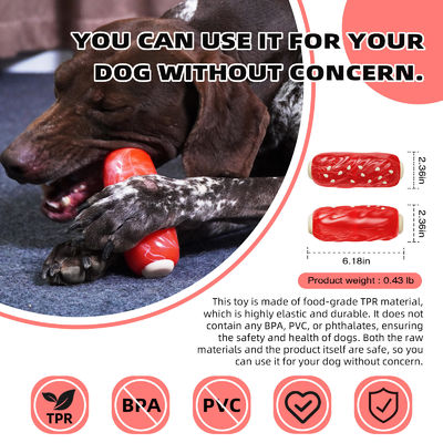 Squeaky Pet Dog Chew Toys Stoer en duurzaam voor agressieve kauwers Mode stijl