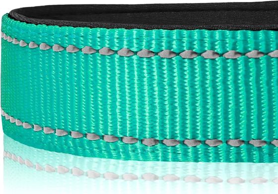 Zwak Neoprene Padded Dog Collar met waterdicht reflecterend C-01