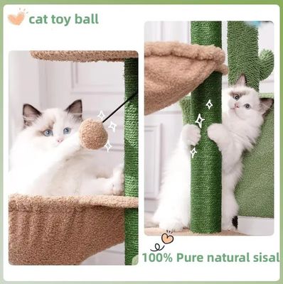 Huiskrassen voor katten Kleine groene kattenboom Cactus Kattenkrassen voor binnenkatten