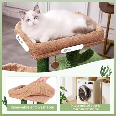 Huiskrassen voor katten Kleine groene kattenboom Cactus Kattenkrassen voor binnenkatten