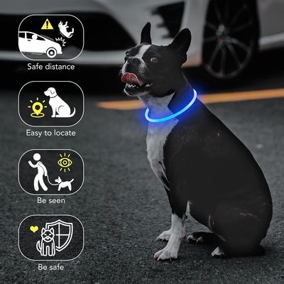 USB-oplaadbare waterdichte hondenkraag voor nachtelijk wandelen en trainen