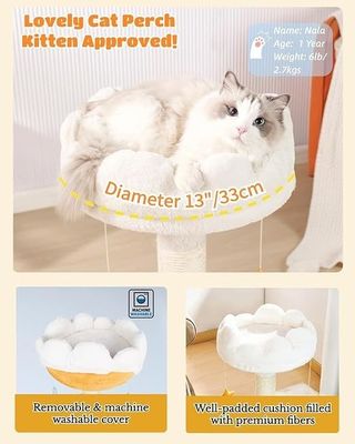Plüsch Perk Lief kattenboom Witte wolk katten toren voor kleine katten en dieren