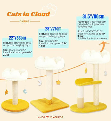 Plüsch Perk Lief kattenboom Witte wolk katten toren voor kleine katten en dieren
