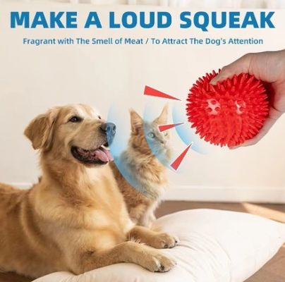 Gepersonaliseerd logo Acceptabel Bestseller TPR Squeaky Spike Ball Dog Toy voor honden en huisdieren