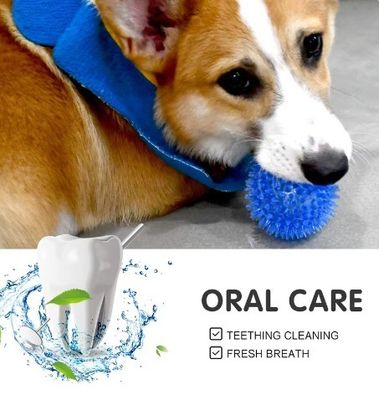 Niet giftig milieuvriendelijk honden speelgoed TPR hond kauw speelgoed ballen voor het reinigen van tanden