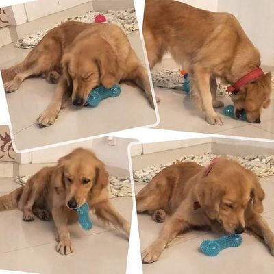 Honden zachte kauw speelgoed Duurzame TPR botvorm voor interactieve training en tandreiniging