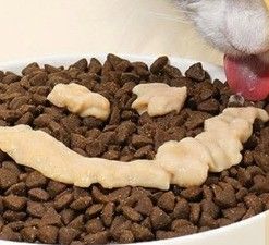 55% Vleesgehalte Kattenvoeding Alle levensfasen Zalm Kattenbehandeling Stick Voeding in zak