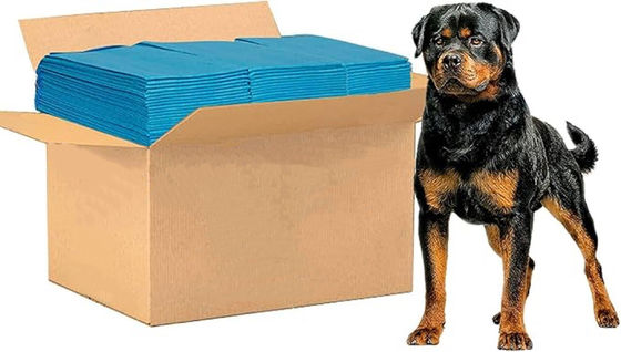 56*56cm Kleine dieren Huisdier trainingsbed met lekvrije wegwerpmaten