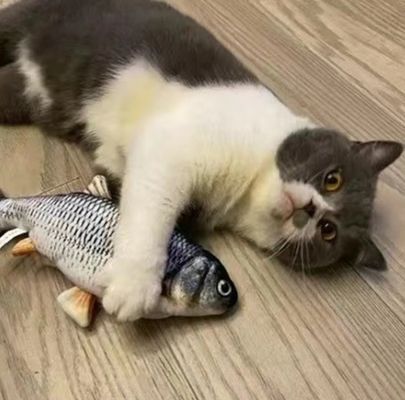 Catnip Plush Elektrisch verplaatsbaar vis-katten speelgoed voor duurzame en interactieve speeltijd