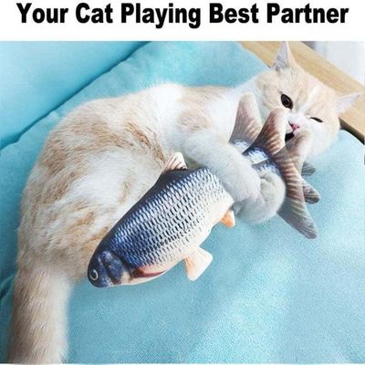 Interactieve kat grappig speeltje realistisch floppende vis kattenkruid kattenspeelgoed voor kleine dieren