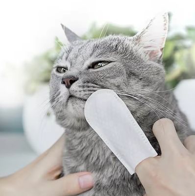 Handige tandreinigingsdoeken voor huisdieren voor katten en honden Niet-spoelen vingertandborstel