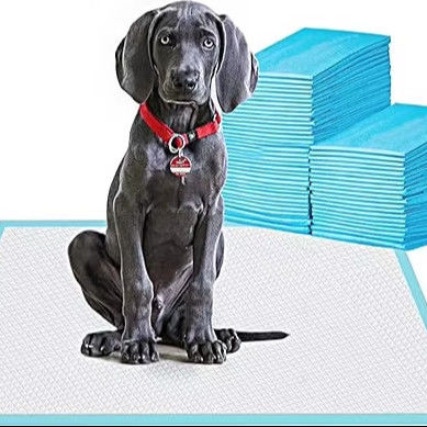 Gezonde stijl waterdichte puppy luier voor kleine dieren training wegwerppadje