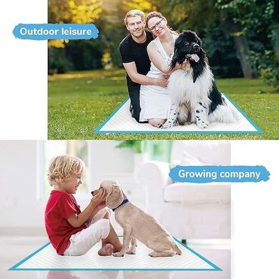 Eenmalige waterdichte puppy pads Sneldrogen Urinabsorptie 56*56cm