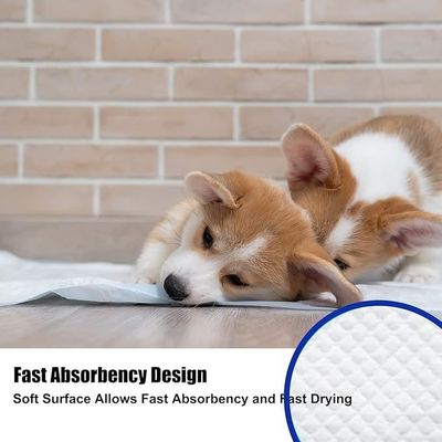 Puppy Piss Training Dog Training Piss Under Pad Super Absorberend Biodegradable Pet Urin Pad
