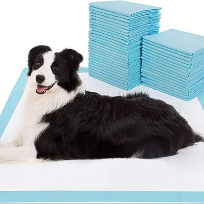 100 verpakkingen ademend, wegwerpbedden voor huisdieren met absorberend en lekbestendig materiaal