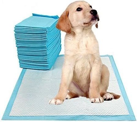 Kleine dieren Gezonde stijl Indoor toilettraining Huisdieren plasspad Absorberend 56 x 56 cm