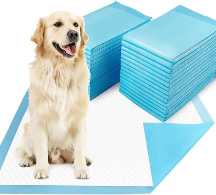 Puppy Pee Training Super Absorberend Wegwerp Training Pads voor Potty Training