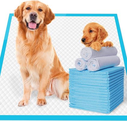 Hondenopleidingspillen voor duurzaam lekvrij absorberend toilet voor huisdieren