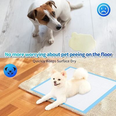 Honden Katten Etc. Huisdieren Wasbare waterdichte huisdiermat voor urine-absorberende training