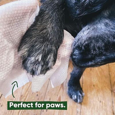150*200mm milieuvriendelijke huishoudelijke reinigingsdoeken voor honden en katten
